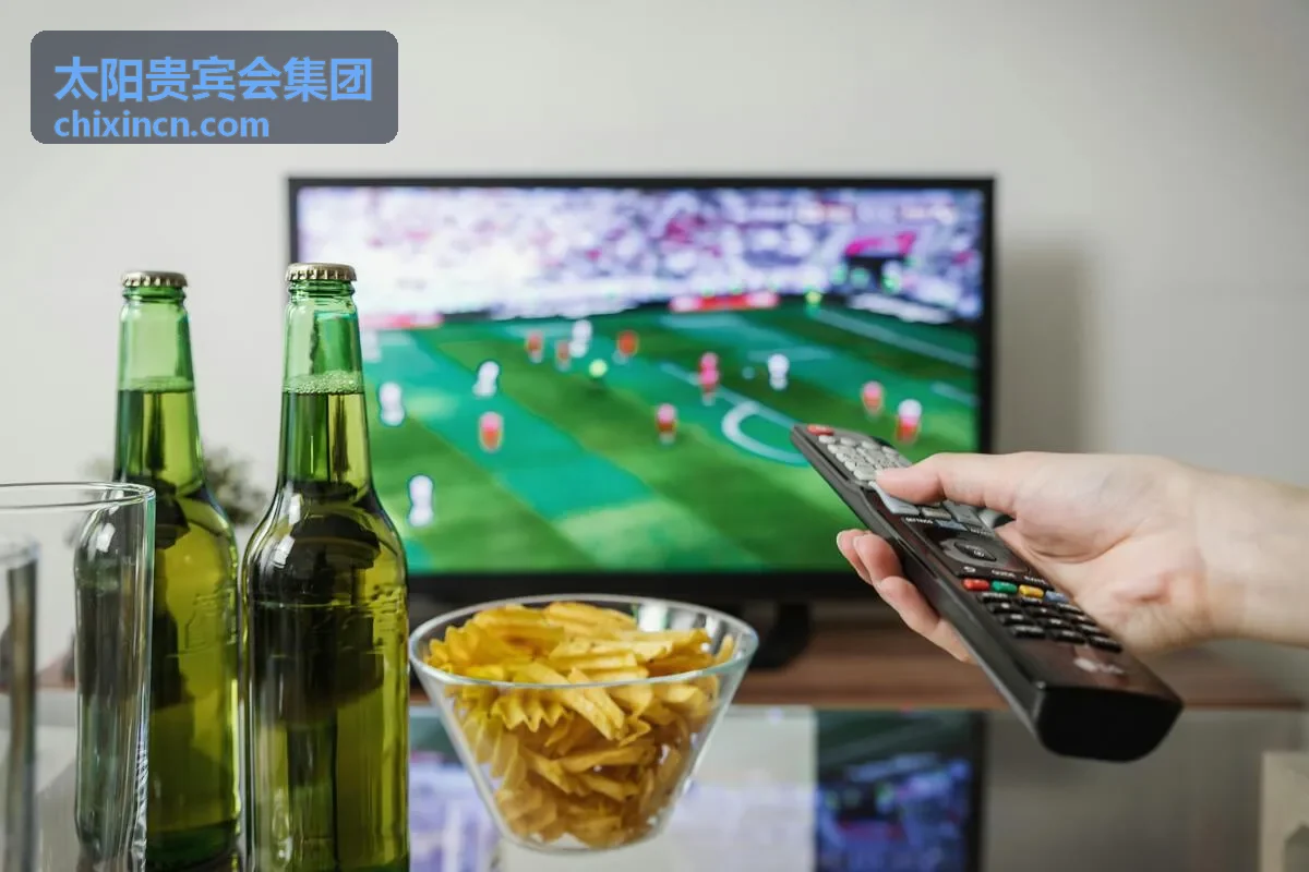 太阳贵宾会产业方案